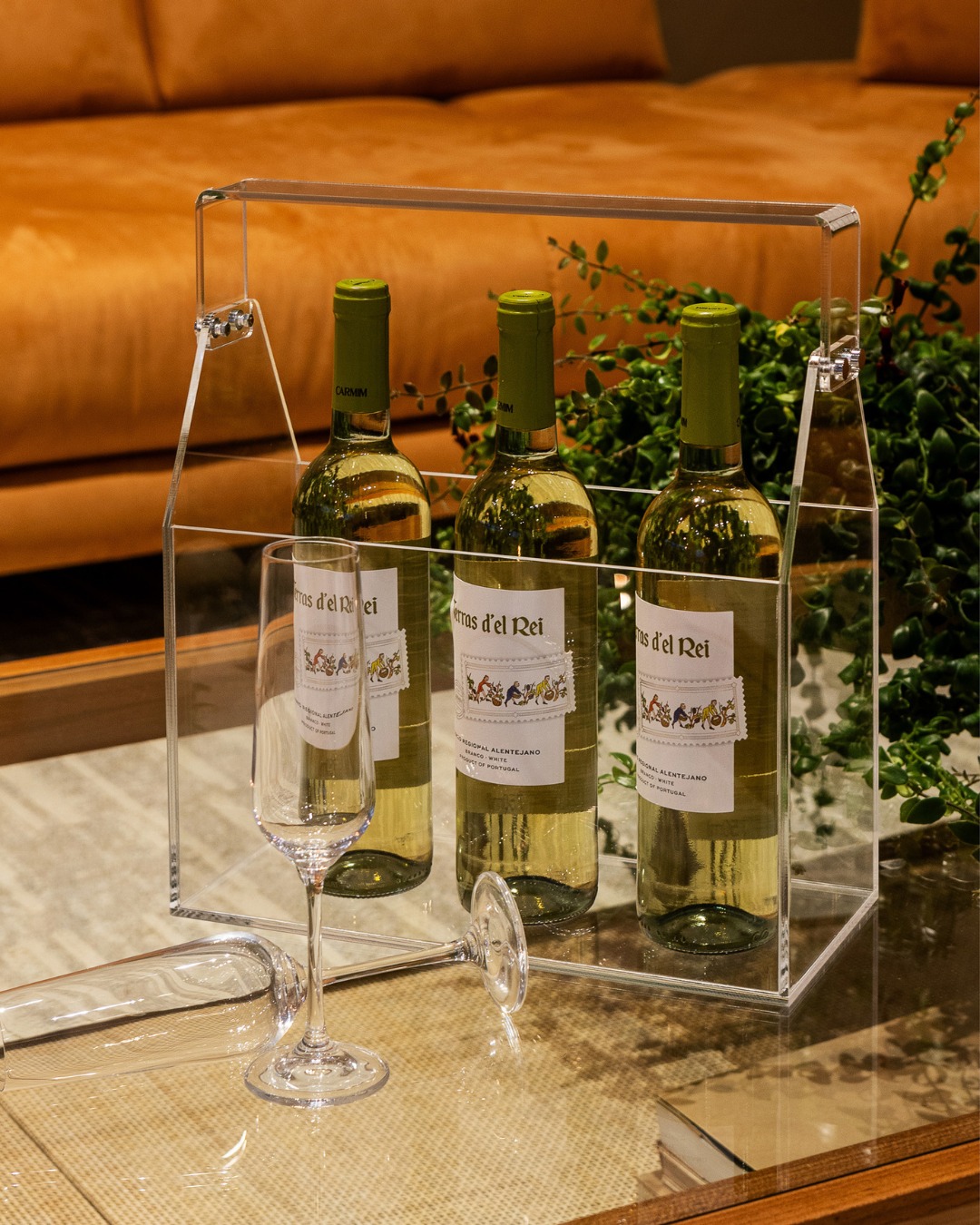 WhatsApp Image 2025-09-30 at 10.38.15 (3) - Copia