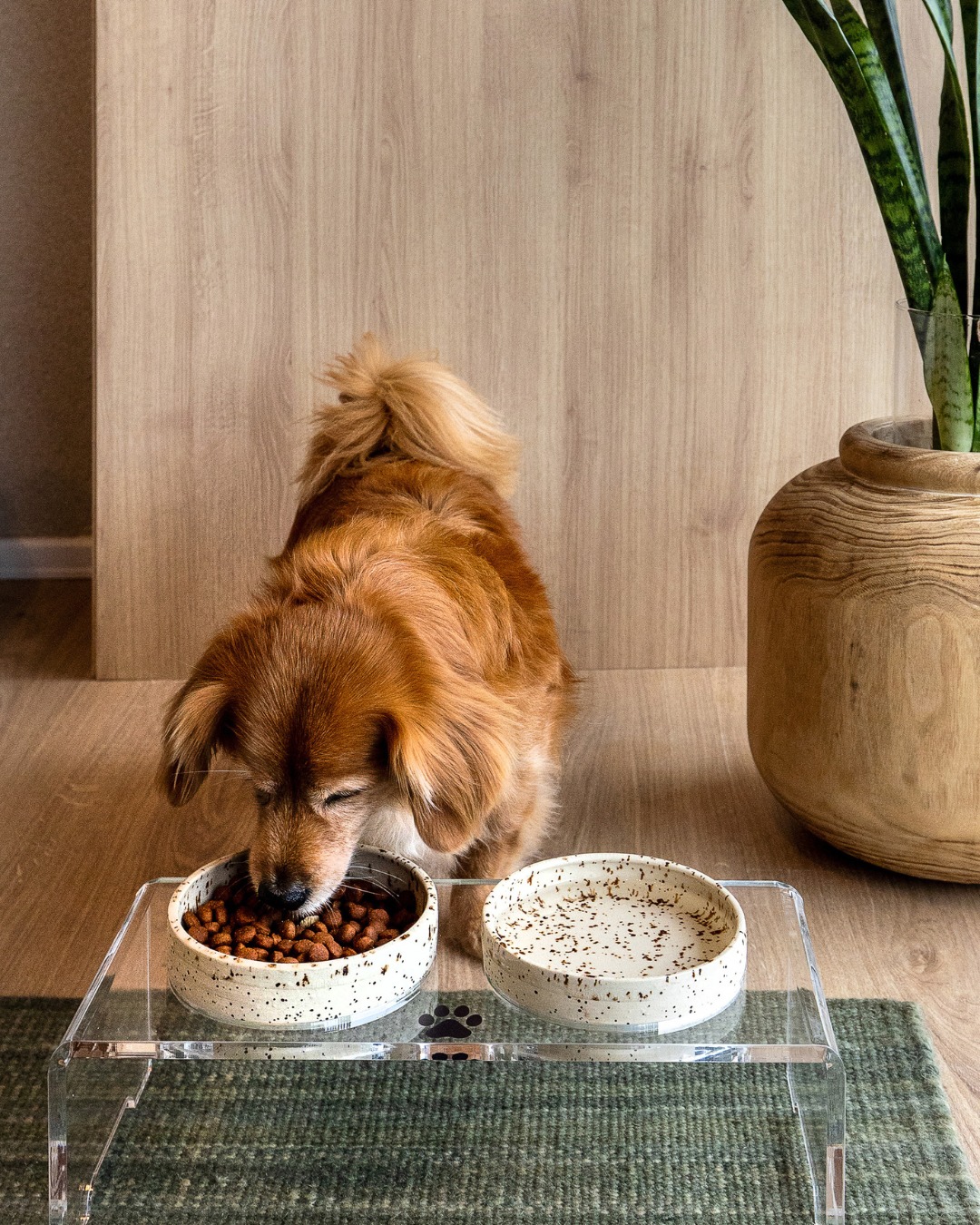 WhatsApp Image 2025-09-30 at 10.38.16 (6) - Copia