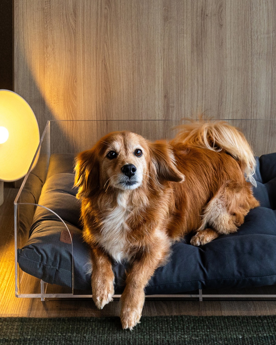 WhatsApp Image 2025-09-30 at 10.38.16 (8) - Copia