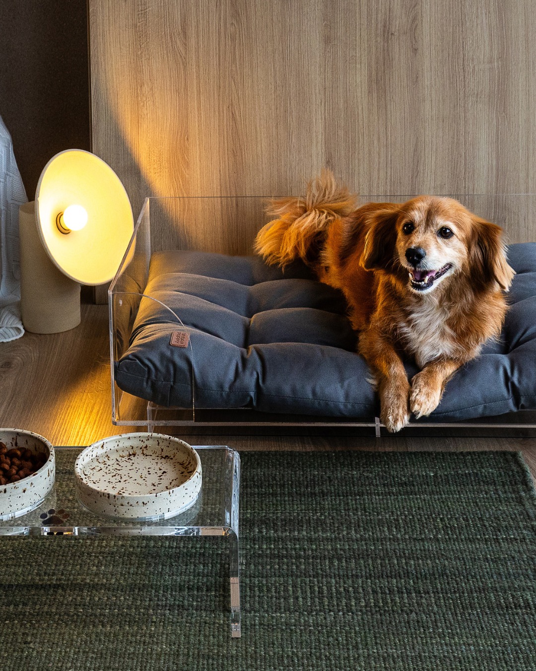 WhatsApp Image 2025-09-30 at 10.38.16 (9) - Copia